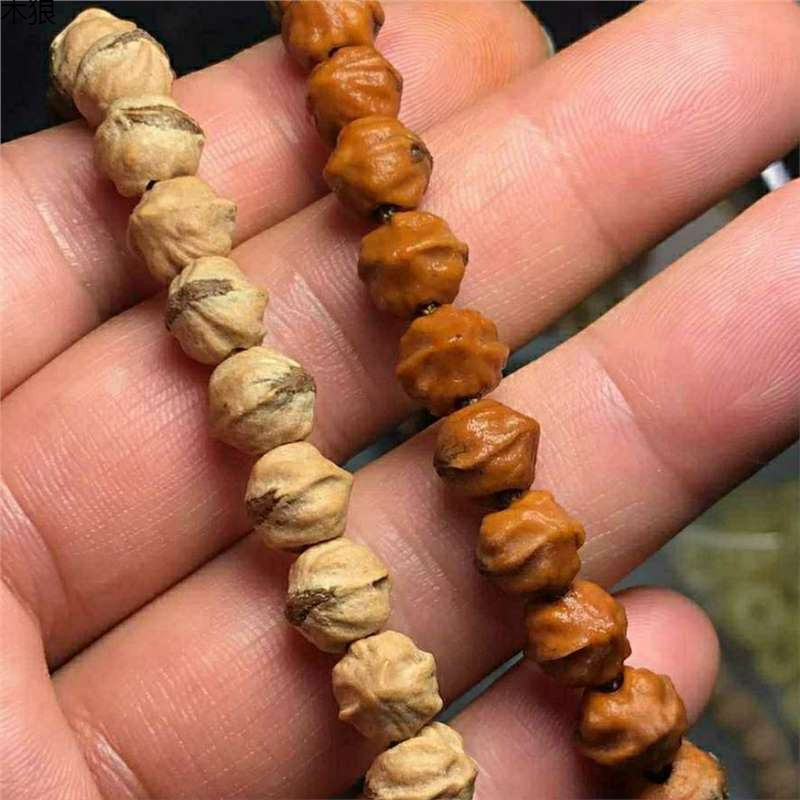 Heiße vibrierende rote Knospe  – Vintage Collectible Market Bewertung und Preis